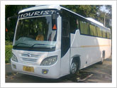 37 seated starliner deluxe buses for foreign tourist to visit agra jaipur Delhi